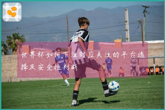 世界杯如何下注时应关注的平台选择及安全性判断