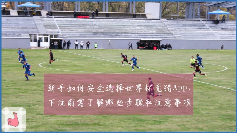 新手如何安全选择世界杯竞猜App，下注前需了解哪些步骤和注意事项