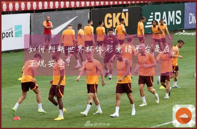 如何判断世界杯体彩竞猜平台是否正规安全？