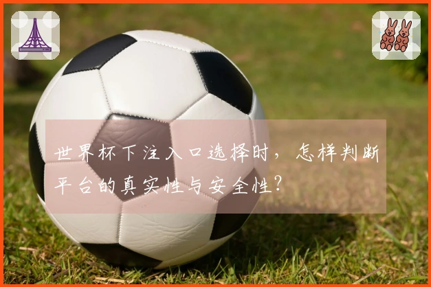 世界杯下注入口选择时,怎样判断平台的真实性与安全性?