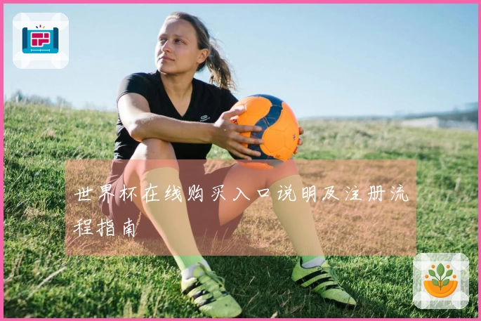 世界杯在线购买入口说明及注册流程指南
