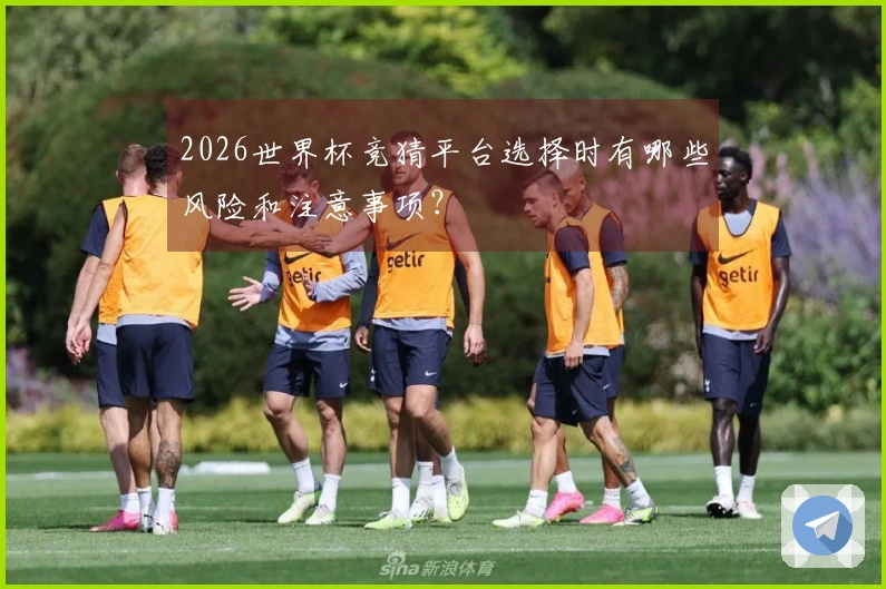 2026世界杯竞猜平台选择时有哪些风险和注意事项？