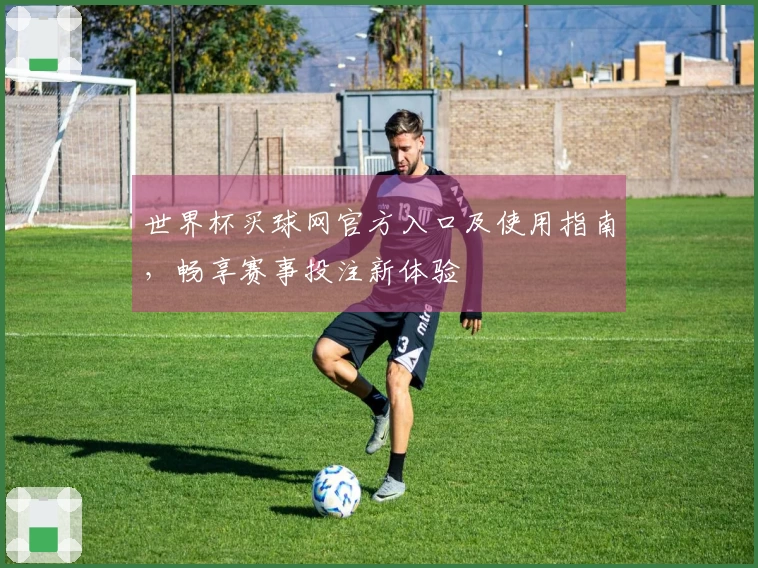 世界杯买球网官方入口及使用指南，畅享赛事投注新体验