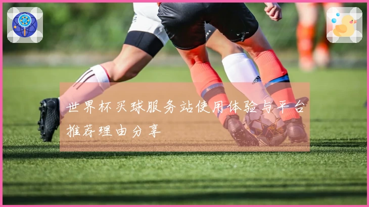世界杯买球服务站使用体验与平台推荐理由分享