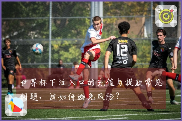 世界杯下注入口的充值与提款常见问题，该如何避免风险？