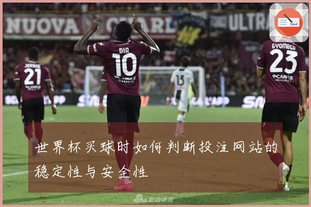 世界杯买球时如何判断投注网站的稳定性与安全性