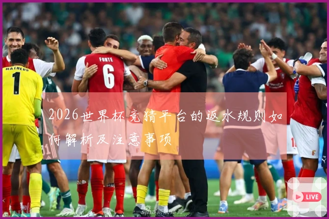 2026世界杯竞猜平台的返水规则如何解析及注意事项