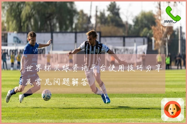 世界杯买球资讯平台使用技巧分享及常见问题解答