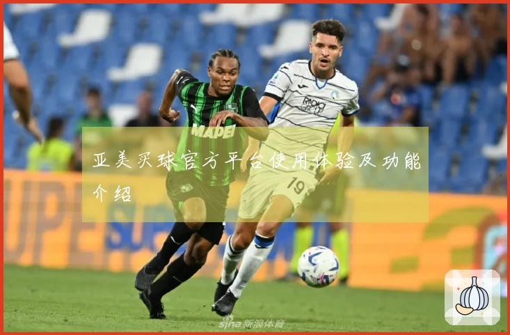 亚美买球官方平台使用体验及功能介绍