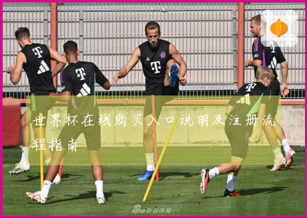 世界杯在线购买入口说明及注册流程指南