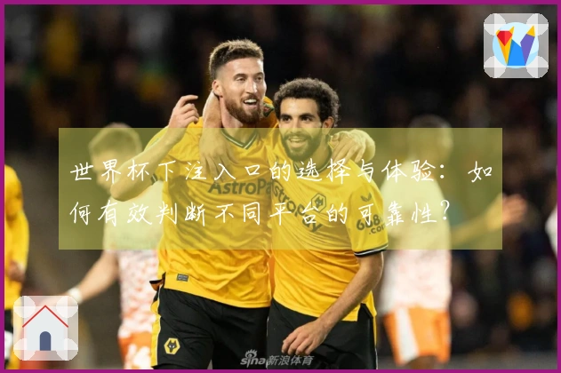 世界杯下注入口的选择与体验：如何有效判断不同平台的可靠性？