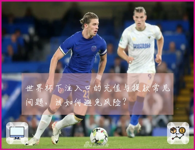 世界杯下注入口的充值与提款常见问题,该如何避免风险?