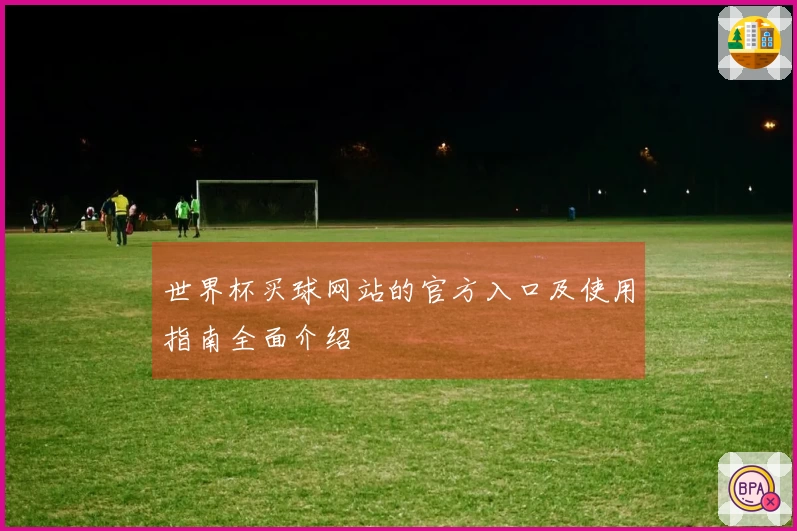 世界杯买球网站的官方入口及使用指南全面介绍