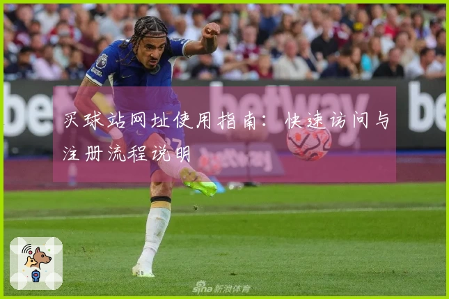 买球站网址使用指南：快速访问与注册流程说明