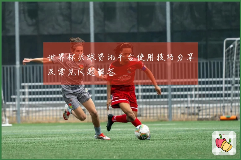 世界杯买球资讯平台使用技巧分享及常见问题解答