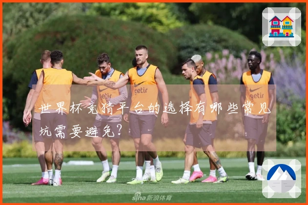 世界杯竞猜平台的选择有哪些常见坑需要避免？