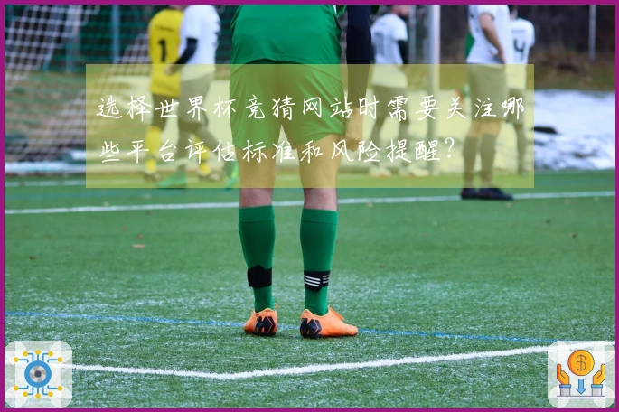 选择世界杯竞猜网站时需要关注哪些平台评估标准和风险提醒？