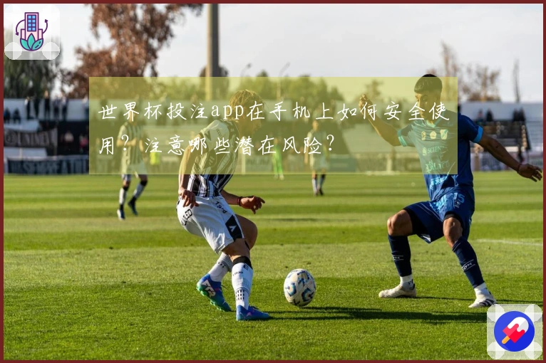 世界杯投注app在手机上如何安全使用?注意哪些潜在风险?