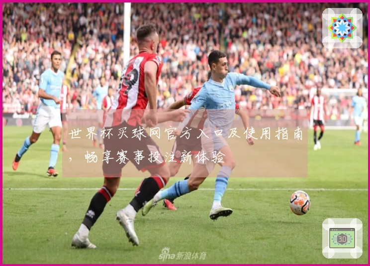 世界杯买球网官方入口及使用指南，畅享赛事投注新体验
