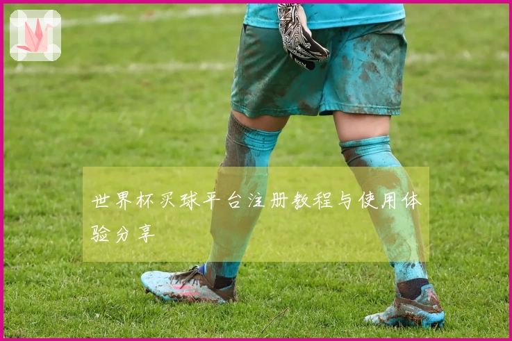 世界杯买球平台注册教程与使用体验分享