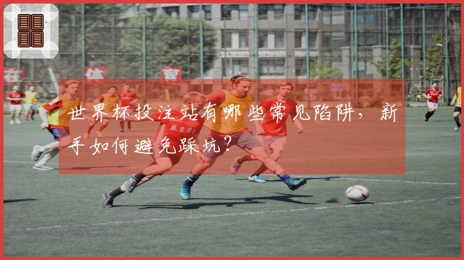 世界杯投注站有哪些常见陷阱，新手如何避免踩坑？